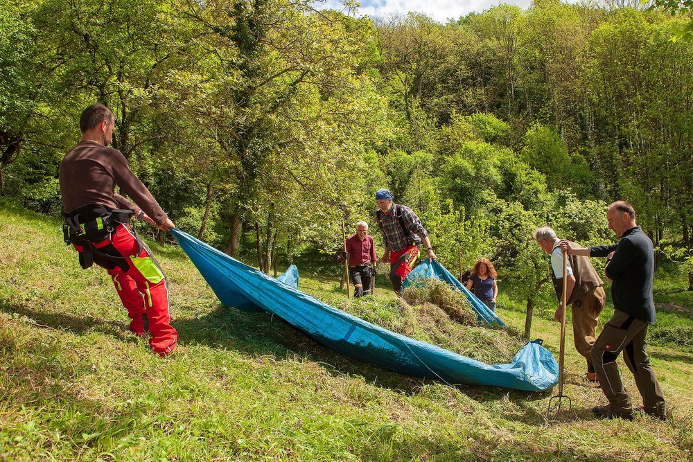 Die Bürgerinitiative Naturschutz Siebengebirge bei der Arbeit.