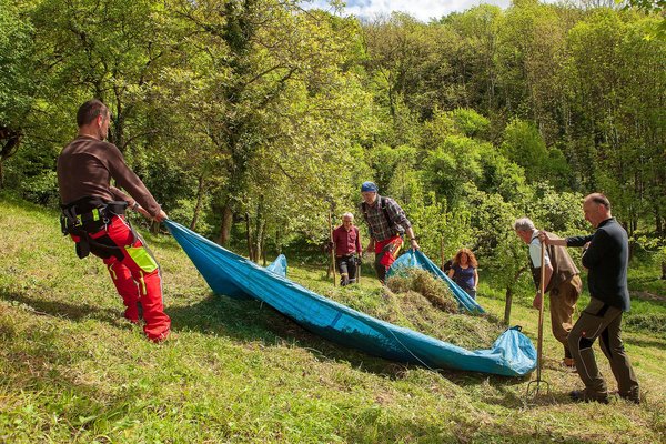 Die Bürgerinitiative Naturschutz Siebengebirge bei der Arbeit.