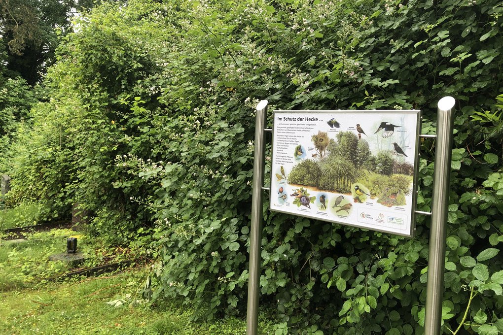 Schautafel zum Lebensraum Hecke auf dem Friedhof in Hagen-Haspe