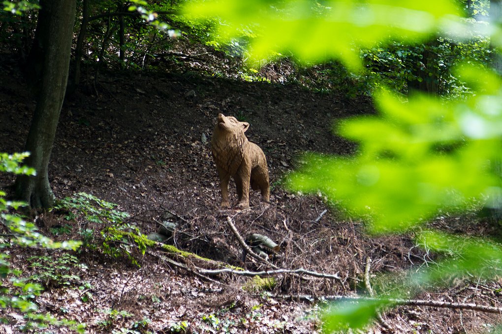 Wanderroute Tiergarten Arnsberg