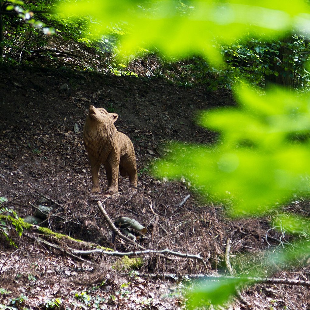 Wanderroute Tiergarten Arnsberg