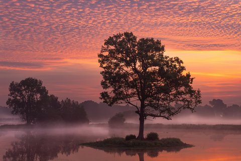 JULI: Morgenstimmung im Delbrücker Land. Aufnahmeort: Delbrück
