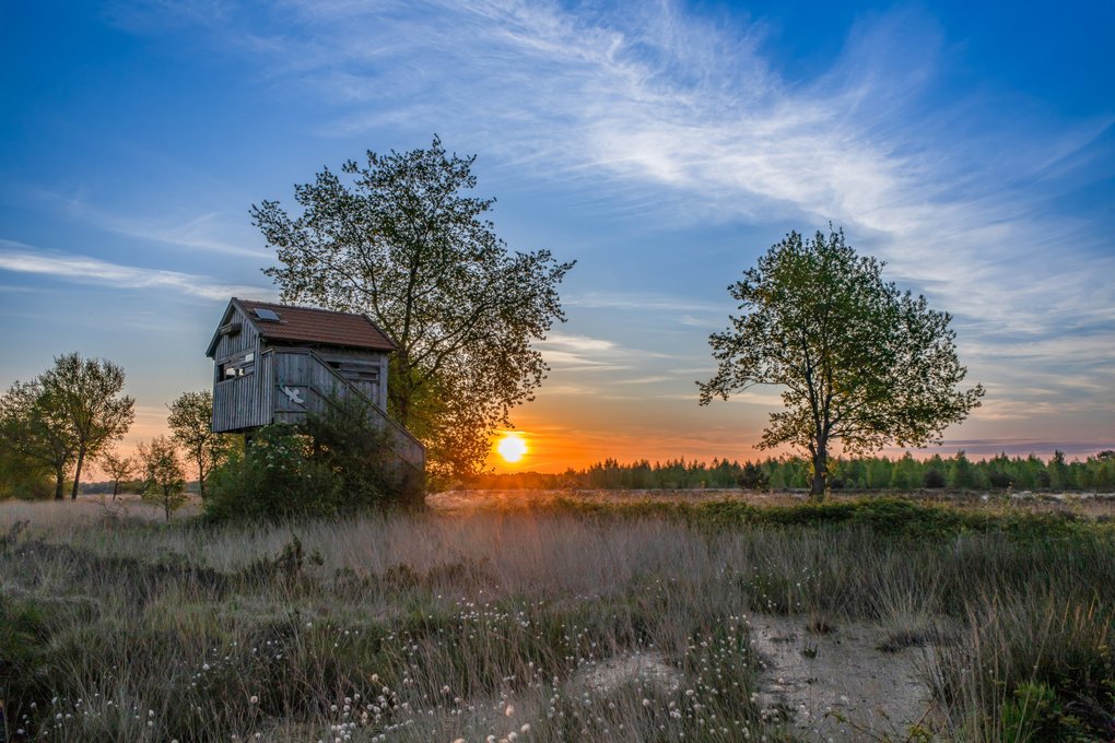 MAI: Sonnenaufgang im Recker Moor. Aufnahmeort: Recke
