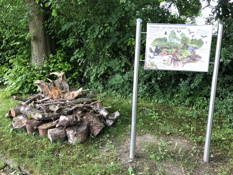Schautafel zum Lebensraum Totholz auf dem Friedhof in Hagen-Haspe