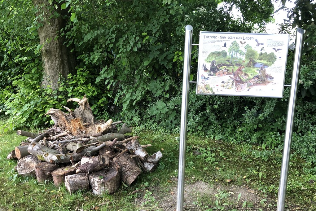 Schautafel zum Lebensraum Totholz auf dem Friedhof in Hagen-Haspe