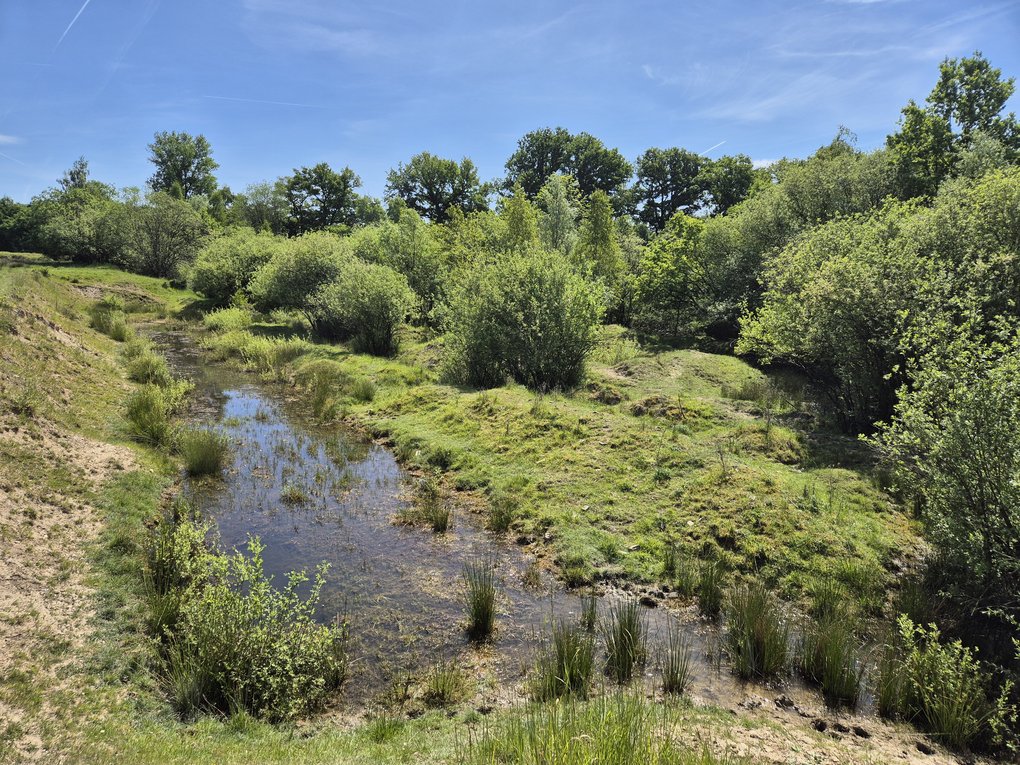 Naturschutzgebiet Brink in Coesfeld