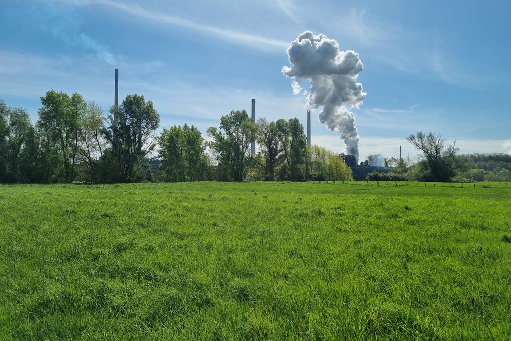 Rheinaue Binsheim in Duisburg