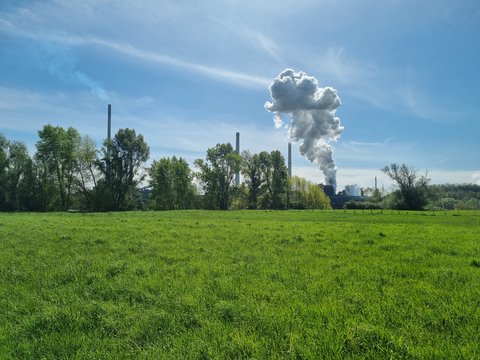 Rheinaue Binsheim in Duisburg