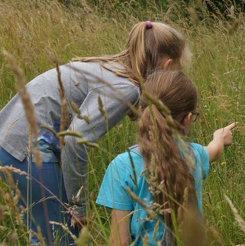 Kinder bei Erkundung der Wildwiese im Biologischen Zentrum Kreis Coesfeld