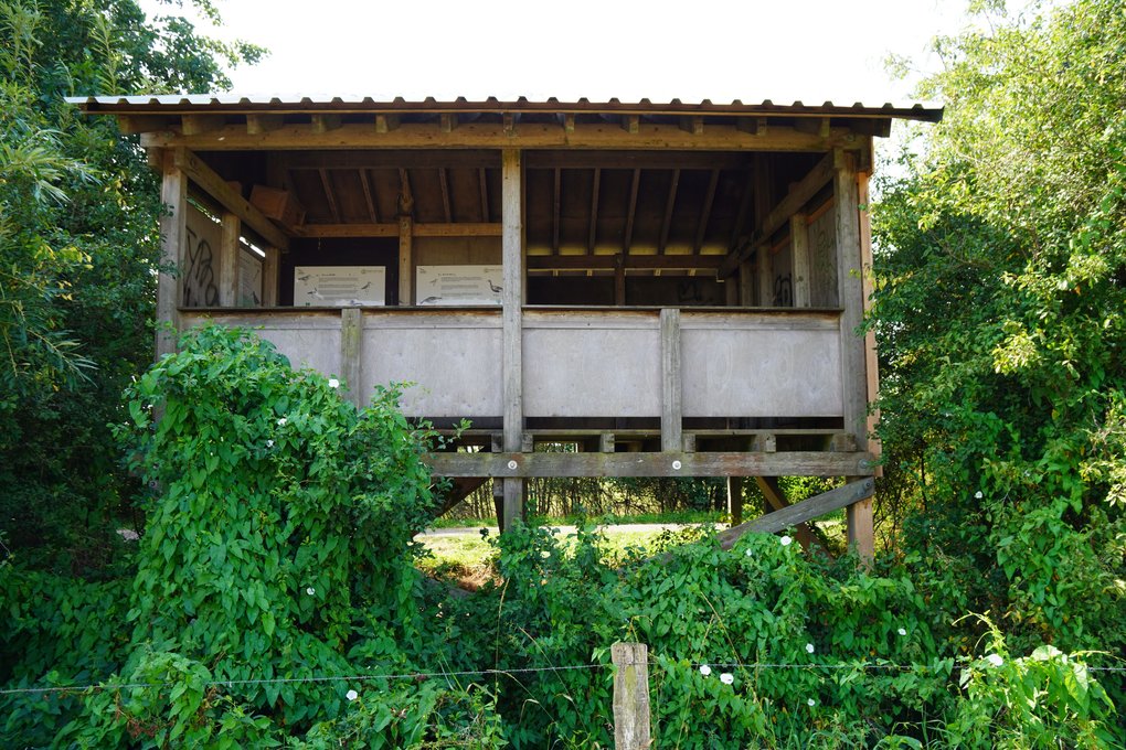 Aussichtskanzel im Naturschutzgebiet Hetter-Millinger Bruch