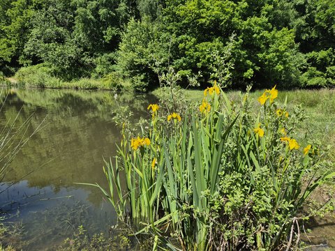 Naturschutzgebiet Brink in Coesfeld