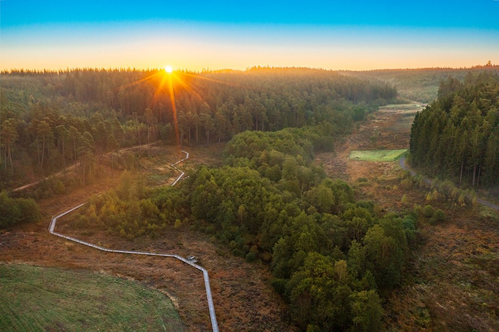 Moorpfad Dahlem.