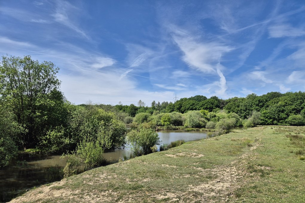 Naturschutzgebiet Brink in Coesfeld