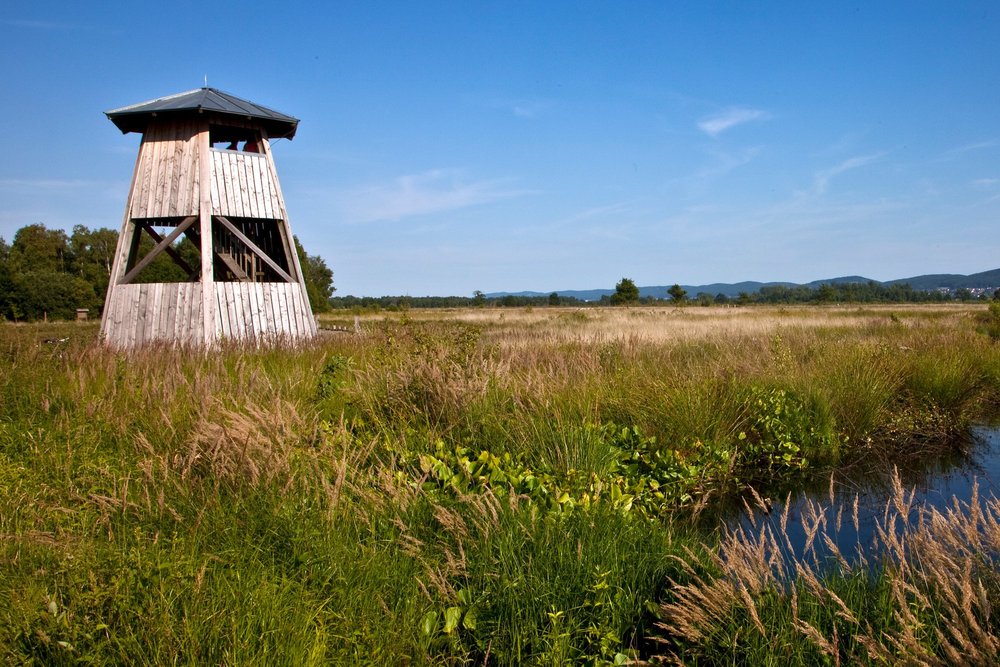 Moorlehrpfad am Besucherzentrum „Moorhus“, Lübbecke
