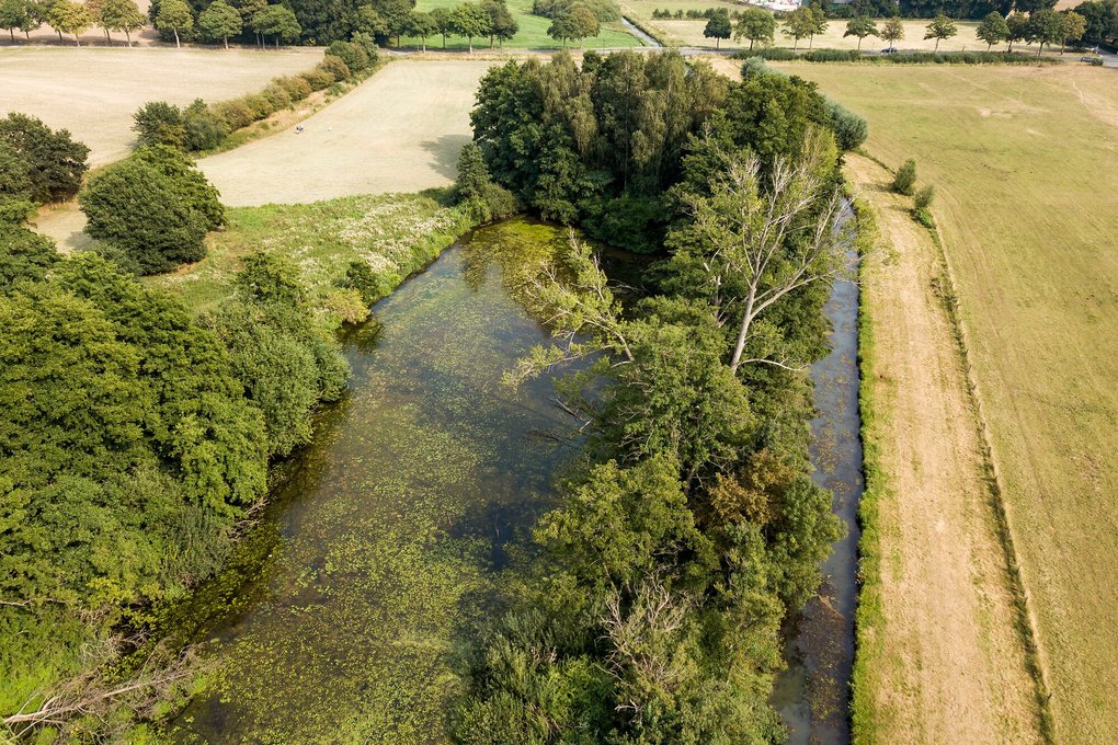 Die Fleuthkuhlen am Niederrhein: Links eine von Bruchwald eingerahmte schwimmblattpflanzenreiche Kuhle, rechts daneben die Issumer Fleuth mit einem Uferrandstreifen zu der Weide daneben.
